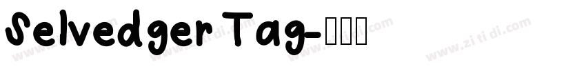 Selvedger Tag字体转换